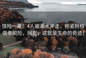 驚險一幕！4人被潮水沖走，抱緊樹(shù)枝僥幸脫險，網(wǎng)友，這就是生命的奇跡！
