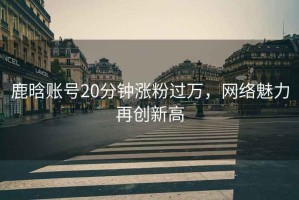 鹿晗賬號20分鐘漲粉過(guò)萬(wàn)，網(wǎng)絡(luò )魅力再創(chuàng  )新高
