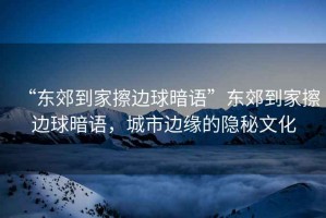 “東郊到家擦邊球暗語(yǔ)”東郊到家擦邊球暗語(yǔ)，城市邊緣的隱秘文化