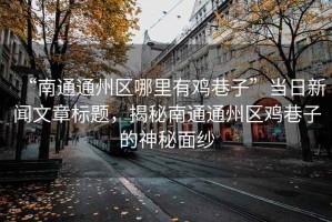 “南通通州區哪里有雞巷子”當日新聞文章標題，揭秘南通通州區雞巷子的神秘面紗