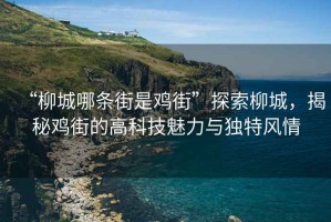 “柳城哪條街是雞街”探索柳城，揭秘雞街的高科技魅力與獨特風(fēng)情