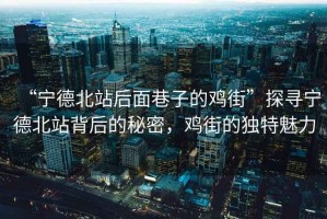 “寧德北站后面巷子的雞街”探尋寧德北站背后的秘密，雞街的獨特魅力