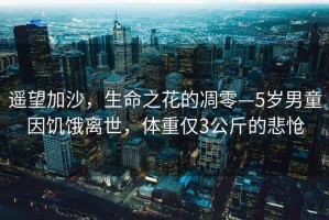 遙望加沙，生命之花的凋零—5歲男童因饑餓離世，體重僅3公斤的悲愴