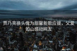 賈乃亮換頭像為甜馨新歌應援，父愛(ài)如山感動(dòng)網(wǎng)友