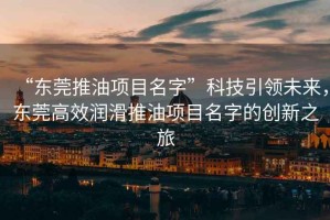 “東莞推油項目名字”科技引領(lǐng)未來(lái)，東莞高效潤滑推油項目名字的創(chuàng  )新之旅