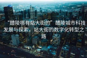 “醴陵哪有站大街的”醴陵城市科技發(fā)展與探索，站大街的數字化轉型之路