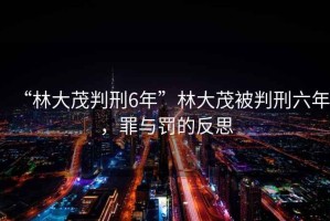 “林大茂判刑6年”林大茂被判刑六年，罪與罰的反思