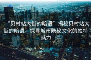 “貝村站大街的暗語(yǔ)”揭秘貝村站大街的暗語(yǔ)，探尋城市隱秘文化的獨特魅力