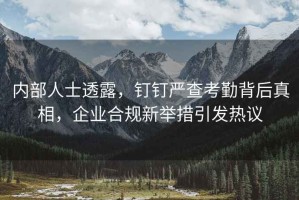 內部人士透露，釘釘嚴查考勤背后真相，企業(yè)合規新舉措引發(fā)熱議