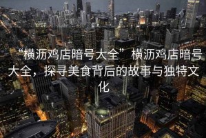“橫瀝雞店暗號大全”橫瀝雞店暗號大全，探尋美食背后的故事與獨特文化