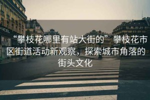 “攀枝花哪里有站大街的”攀枝花市區街道活動(dòng)新觀(guān)察，探索城市角落的街頭文化
