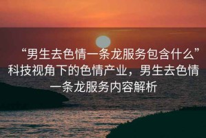 “男生去色情一條龍服務(wù)包含什么”科技視角下的色情產(chǎn)業(yè)，男生去色情一條龍服務(wù)內容解析