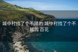 城中村找了個(gè)不錯的:城中村找了個(gè)不錯的 百花