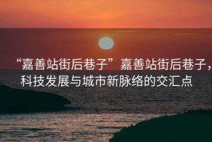 “嘉善站街后巷子”嘉善站街后巷子，科技發(fā)展與城市新脈絡(luò )的交匯點(diǎn)