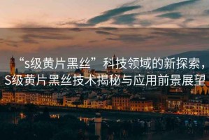 “s級黃片黑絲”科技領(lǐng)域的新探索，S級黃片黑絲技術(shù)揭秘與應用前景展望