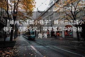 “嵊州三江城小巷子”嵊州三江城小巷子，古韻今風(fēng)，探尋城市中的隱秘角落