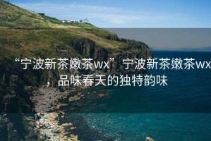 “寧波新茶嫩茶wx”寧波新茶嫩茶wx，品味春天的獨特韻味