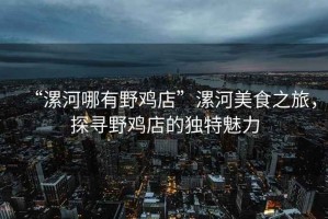 “漯河哪有野雞店”漯河美食之旅，探尋野雞店的獨特魅力