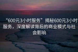 “600元3小時(shí)服務(wù)”揭秘600元3小時(shí)服務(wù)，深度解讀背后的商業(yè)模式與社會(huì )影響