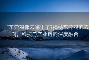 “東莞雞都去哪里了?揭秘東莞雞的去向，科技與產(chǎn)業(yè)鏈的深度融合