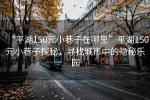 “平湖150元小巷子在哪里”平湖150元小巷子探秘，尋找城市中的隱秘樂(lè )園