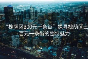 “槐蔭區300元一條街”探尋槐蔭區三百元一條街的獨特魅力