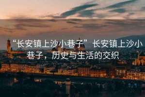 “長(cháng)安鎮上沙小巷子”長(cháng)安鎮上沙小巷子，歷史與生活的交織