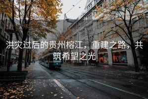 洪災過(guò)后的貴州榕江，重建之路，共筑希望之光