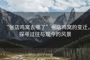 “張店雞窩去哪了”張店雞窩的變遷，探尋過(guò)往與現今的風(fēng)景