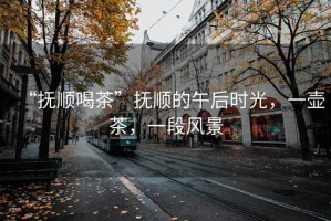 “撫順喝茶”撫順的午后時(shí)光，一壺茶，一段風(fēng)景