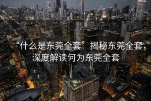“什么是東莞全套”揭秘東莞全套，深度解讀何為東莞全套