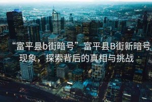 “富平縣b街暗號”富平縣B街新暗號現象，探索背后的真相與挑戰