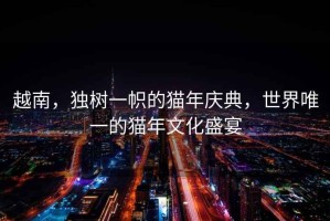 越南，獨樹(shù)一幟的貓年慶典，世界唯一的貓年文化盛宴