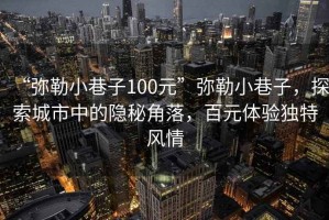“彌勒小巷子100元”彌勒小巷子，探索城市中的隱秘角落，百元體驗獨特風(fēng)情