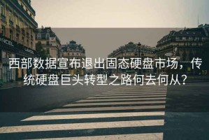 西部數據宣布退出固態(tài)硬盤(pán)市場(chǎng)，傳統硬盤(pán)巨頭轉型之路何去何從？