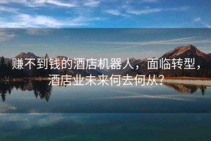 賺不到錢(qián)的酒店機器人，面臨轉型，酒店業(yè)未來(lái)何去何從？