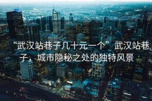 “武漢站巷子幾十元一個(gè)”武漢站巷子，城市隱秘之處的獨特風(fēng)景