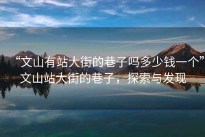 “文山有站大街的巷子嗎多少錢(qián)一個(gè)”文山站大街的巷子，探索與發(fā)現