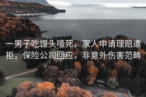 一男子吃饅頭噎死，家人申請理賠遭拒，保險公司回應，非意外傷害范疇