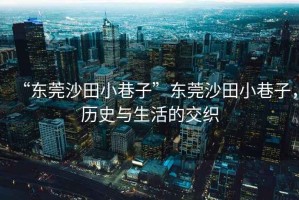 “東莞沙田小巷子”東莞沙田小巷子，歷史與生活的交織