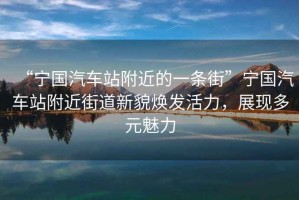 “寧國汽車(chē)站附近的一條街”寧國汽車(chē)站附近街道新貌煥發(fā)活力，展現多元魅力