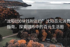 “沈陽(yáng)100塊錢(qián)附近約”沈陽(yáng)百元消費指南，探索城市中的百元生活圈