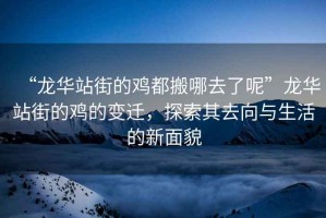 “龍華站街的雞都搬哪去了呢”龍華站街的雞的變遷，探索其去向與生活的新面貌