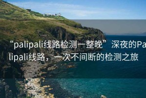 “palipali線(xiàn)路檢測一整晚”深夜的Palipali線(xiàn)路，一次不間斷的檢測之旅
