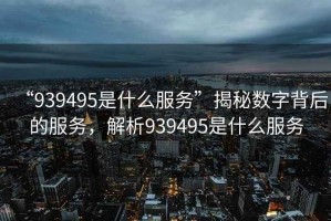 “939495是什么服務(wù)”揭秘數字背后的服務(wù)，解析939495是什么服務(wù)