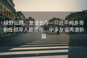 綠野仙蹤，友誼長(cháng)存—習近平向多哥新任領(lǐng)導人致賀電，中多友誼再譜新篇