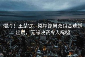 爆冷！王楚欽、梁靖崑男雙組合遺憾出局，無(wú)緣決賽令人唏噓