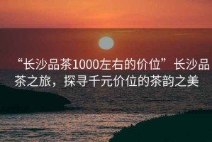 “長(cháng)沙品茶1000左右的價(jià)位”長(cháng)沙品茶之旅，探尋千元價(jià)位的茶韻之美