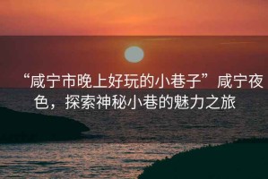 “咸寧市晚上好玩的小巷子”咸寧夜色，探索神秘小巷的魅力之旅