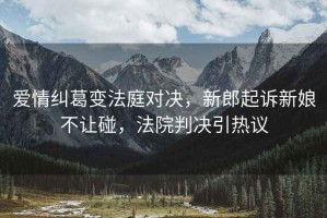 愛(ài)情糾葛變法庭對決，新郎起訴新娘不讓碰，法院判決引熱議